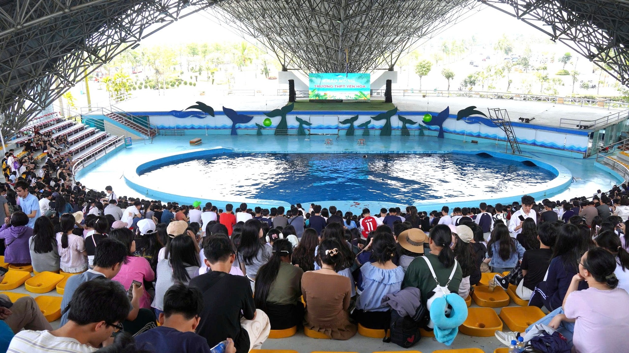 Biểu diễn cá heo tại Tuần Châu Park