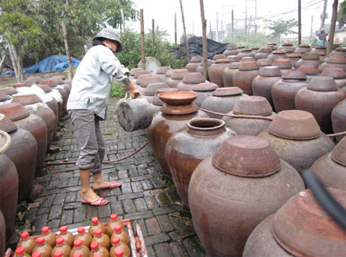 Chum tương bần phơi nắng tại làng nghề truyền thống gần Hà Nội