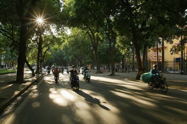 Những vệt nắng lung linh chiếu rọi trên đường phố Hà Nội