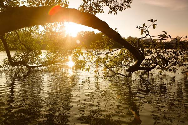 Nắng thu mật ong ngọt ngào tại Hà Nội