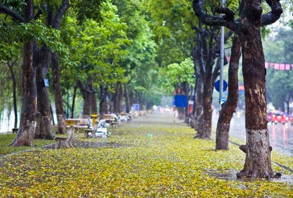 Check-in đường phố lãng mạn khi du lịch Hà Nội