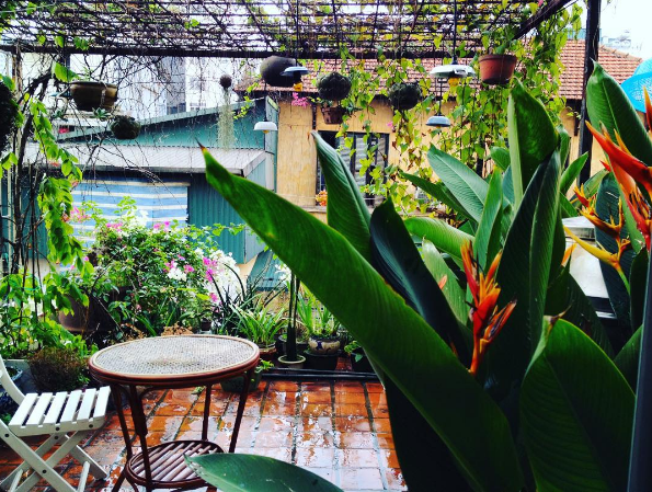 Sân vườn mộc mạc tại homestay Hà Nội
