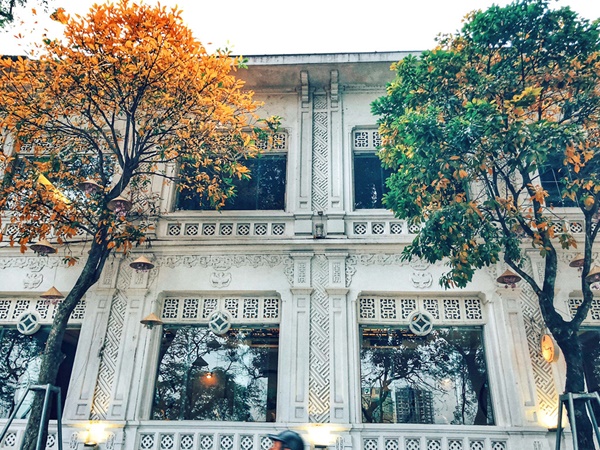 Hàng cây lá vàng trên phố Hà Nội tháng 4