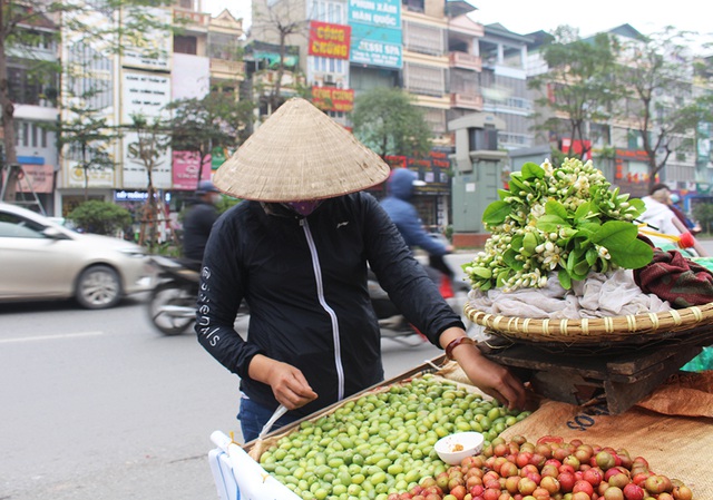 Quầy nhót xanh tươi ngon Hà Nội tháng 4