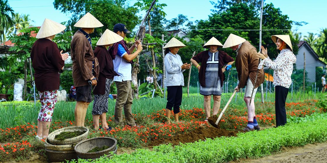 Du khách trải nghiệm trồng rau Trà Quế