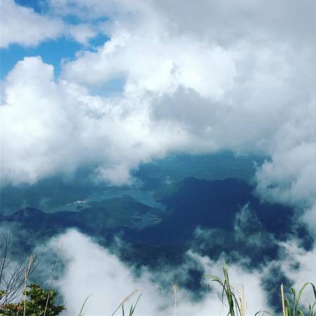 Đường lên đỉnh Bạch Mã