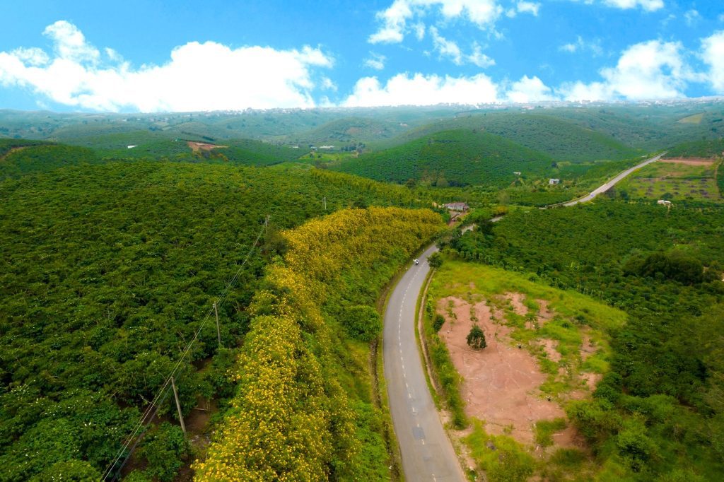 Cảnh quan thiên nhiên đẹp mắt khi du lịch Lâm Đồng