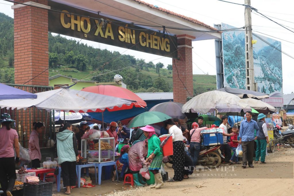 Chợ phiên Sín Chéng thu hút du khách du lịch Lào Cai