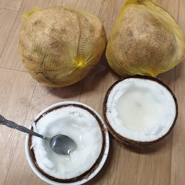 Dừa sáp thơm béo
