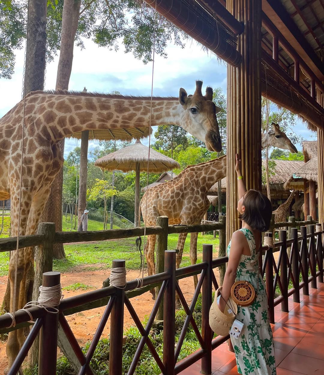 Vinpearl Safari Phú Quốc trải nghiệm du lịch một mình
