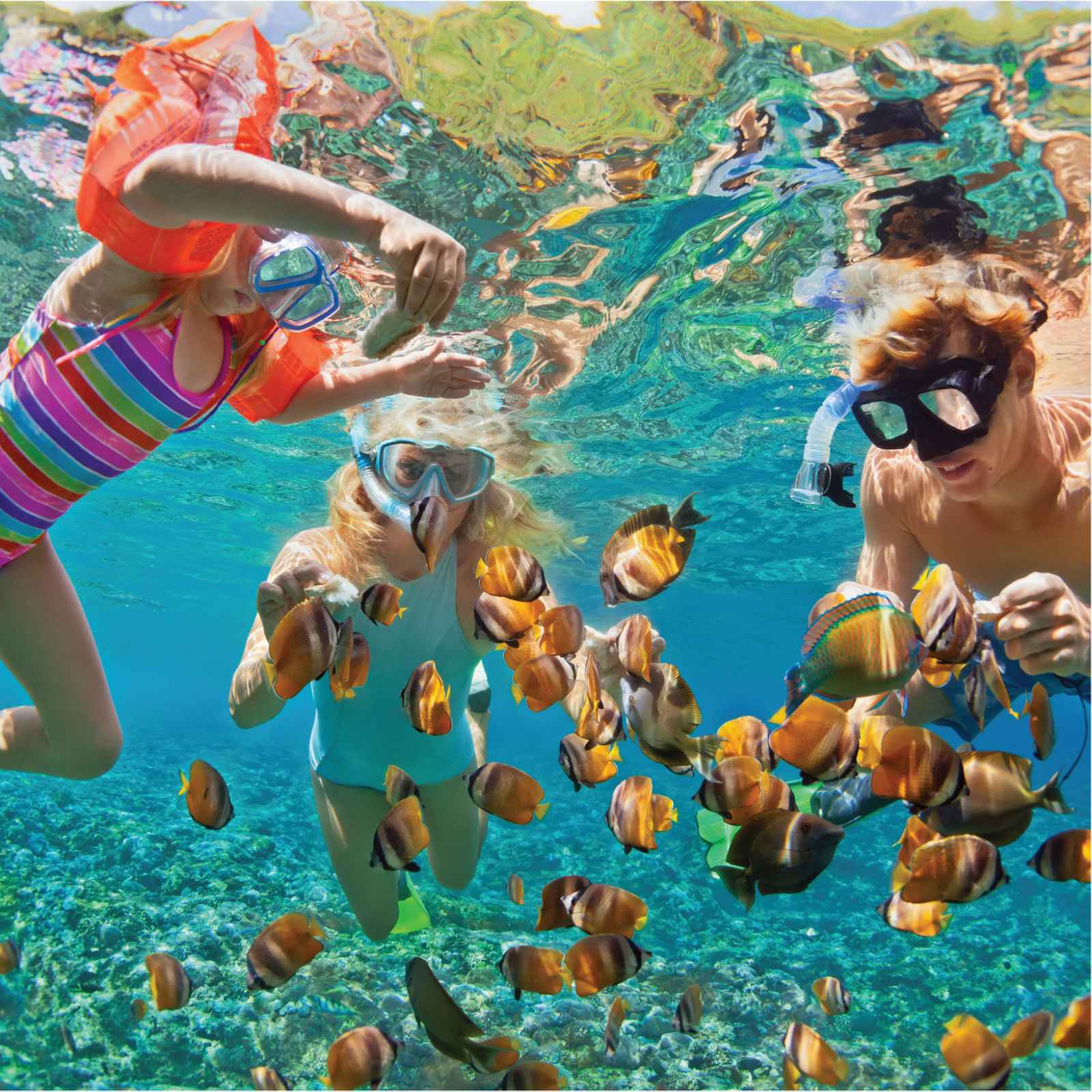 du lịch Nha Trang