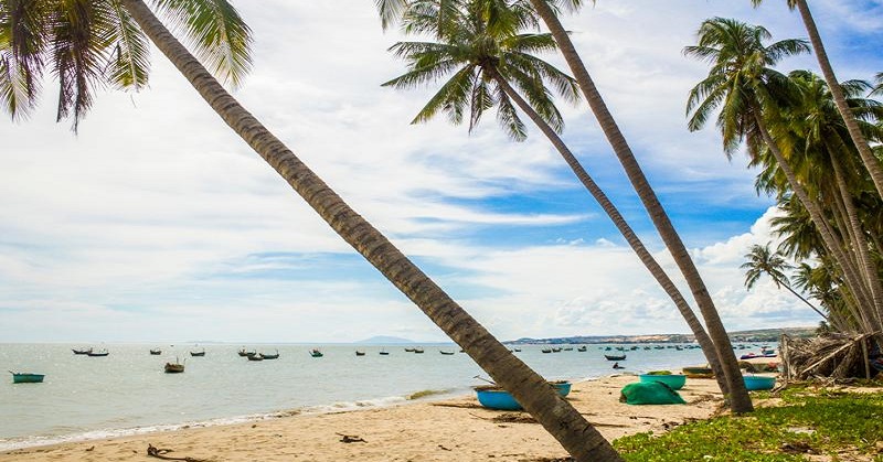Bãi Rạng với rặng dừa và rạn san hô gần bờ cho lặn ngắm san hô Phan Thiết