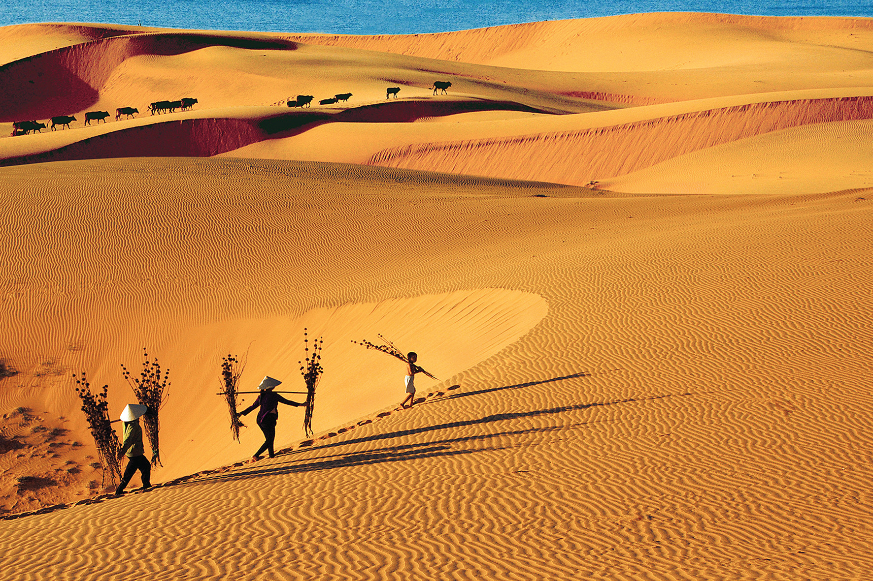 Đồi cát bay du lịch Phan Thiết