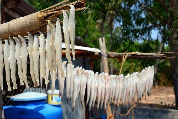 Mùi của cá khô và nước mắm - hương vị không mấy dễ chịu