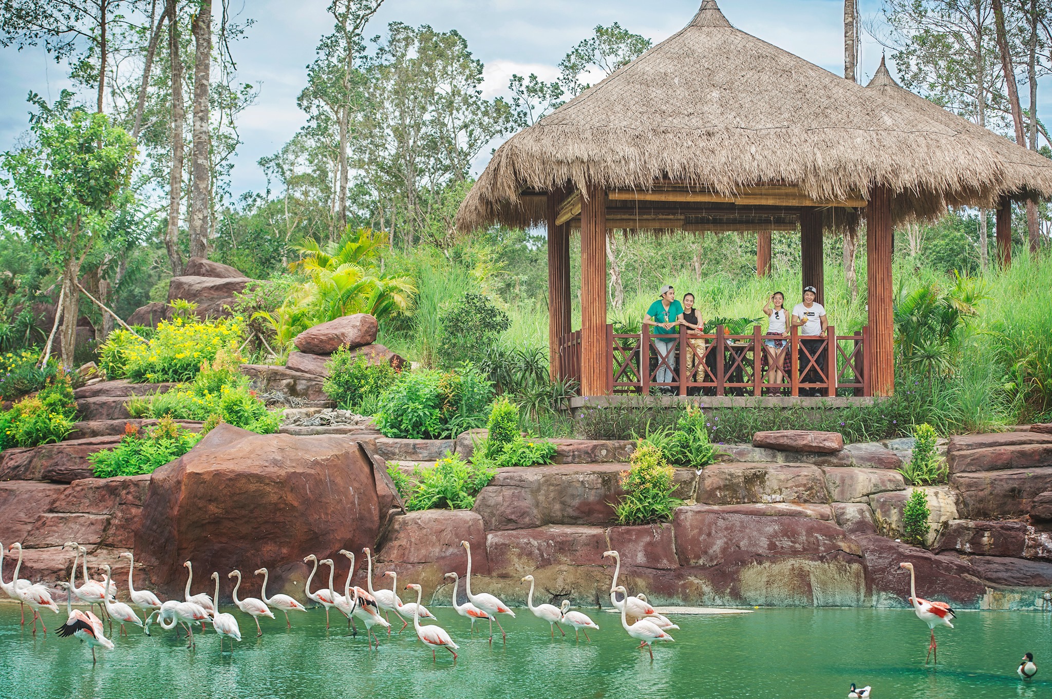 Check-in hồ hồng hạc Vinpearl Safari khi du lịch Phú Quốc