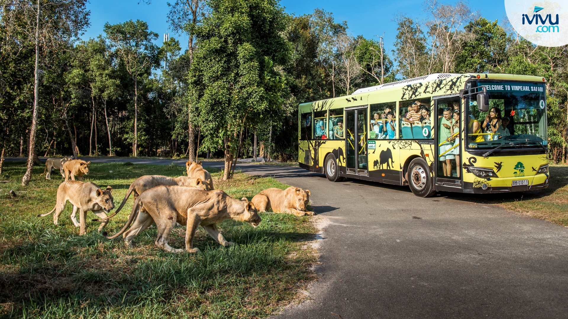 Trải nghiệm ngắm thú tại Vinpearl Safari Phú Quốc