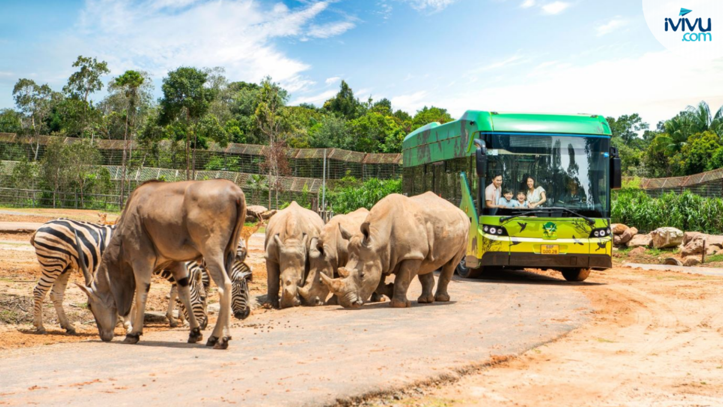 Khám phá Vinpearl Safari với trải nghiệm thú vị