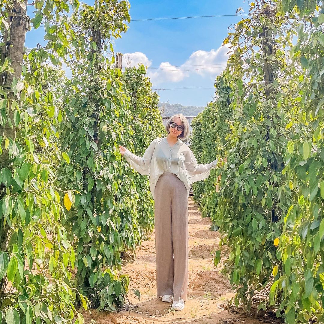 Vườn tiêu Phú Quốc
