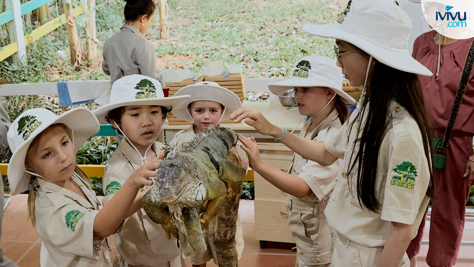 Tương tác với động vật tại Vinpearl Safari Phú Quốc