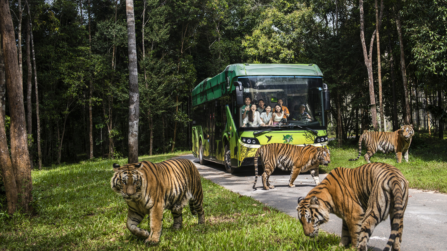 Vinpearl Safari nơi sinh sống nhiều loài động vật
