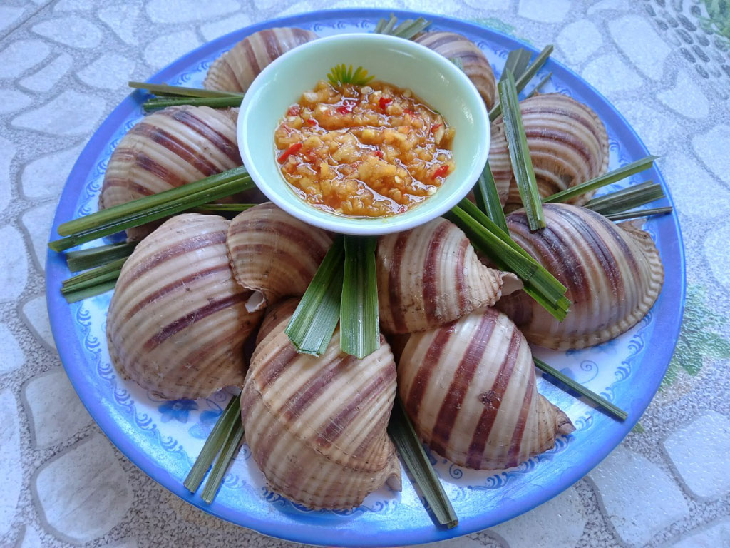 du lịch quy nhơn