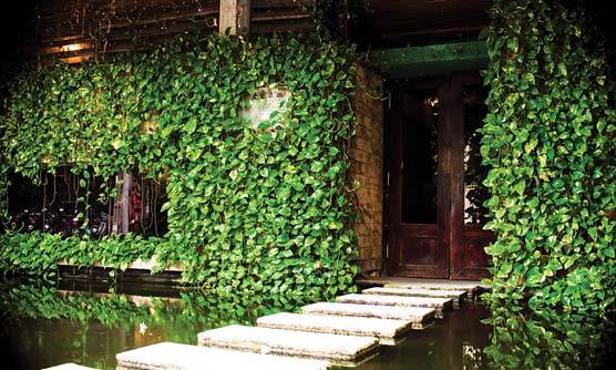 Du lịch Thủ Đức - Không gian xanh mát tại cà phê Trầm