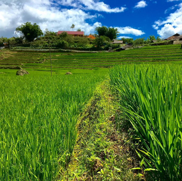 Khám phá bản làng hoang sơ khi du lịch Sapa tự túc