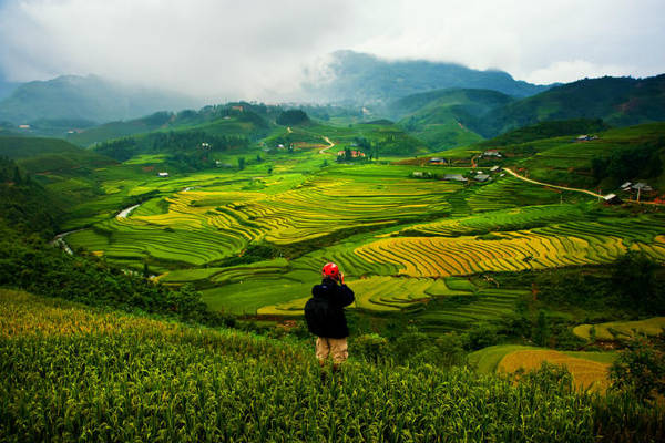 Ảnh: Anan Charoenkal