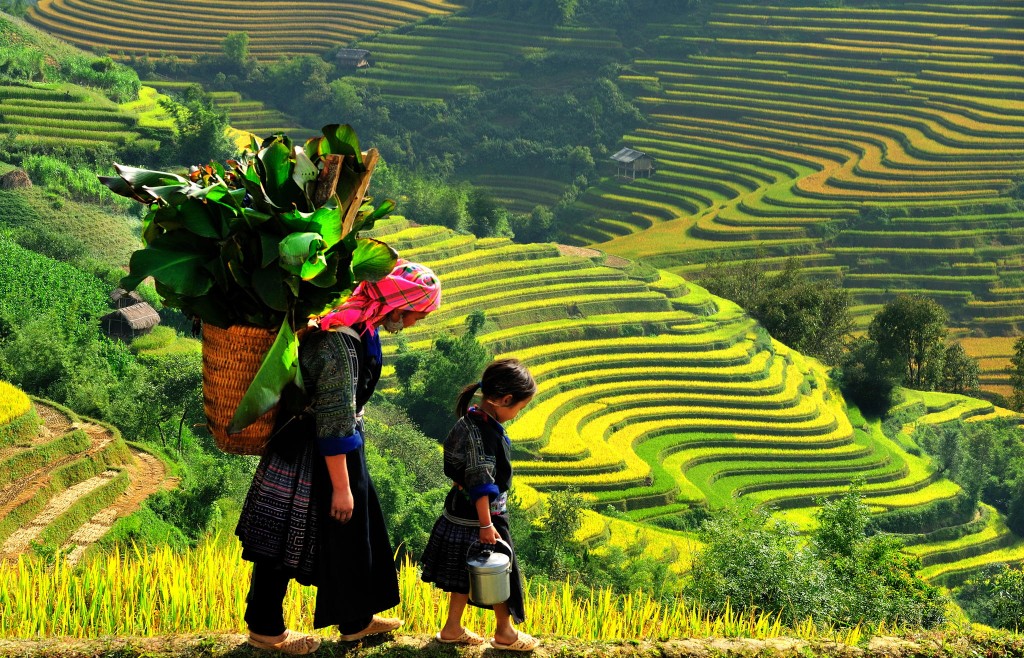 Sapa - Đà Lạt của miền Bắc. Ảnh: Vietnampremiertravel.com