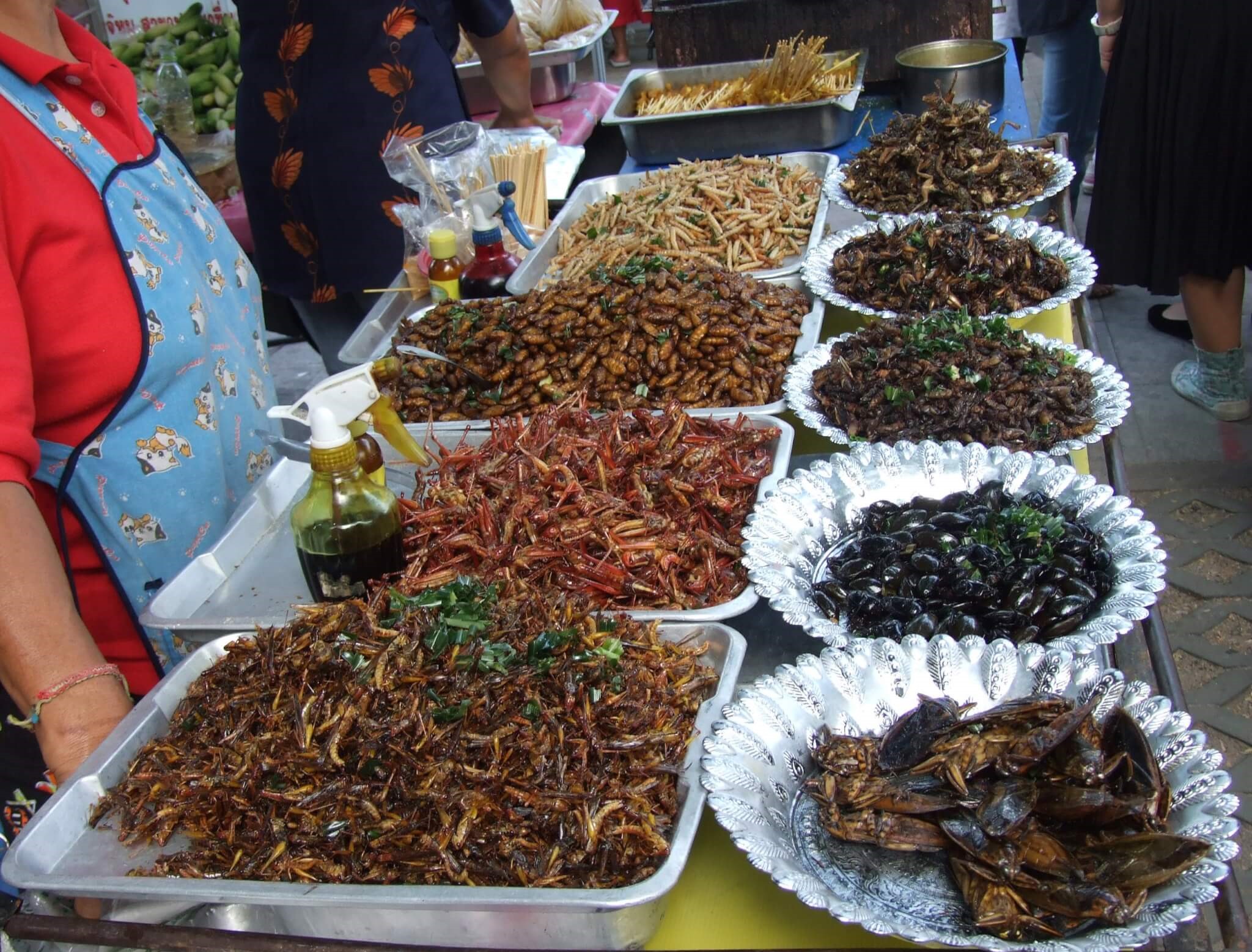 Món ăn từ côn trùng đa dạng tại chợ Siem Reap