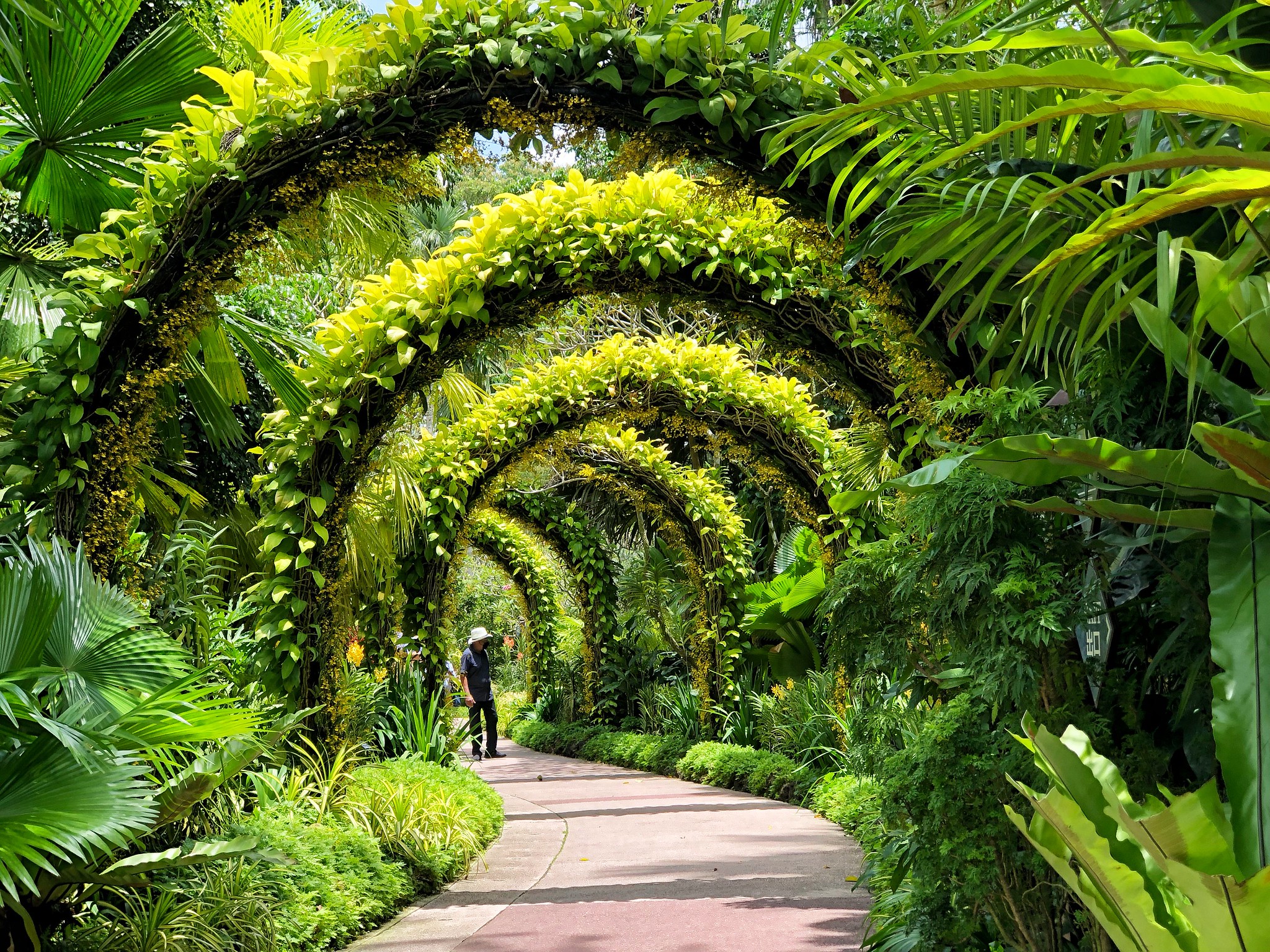 Vườn bách thảo Singapore