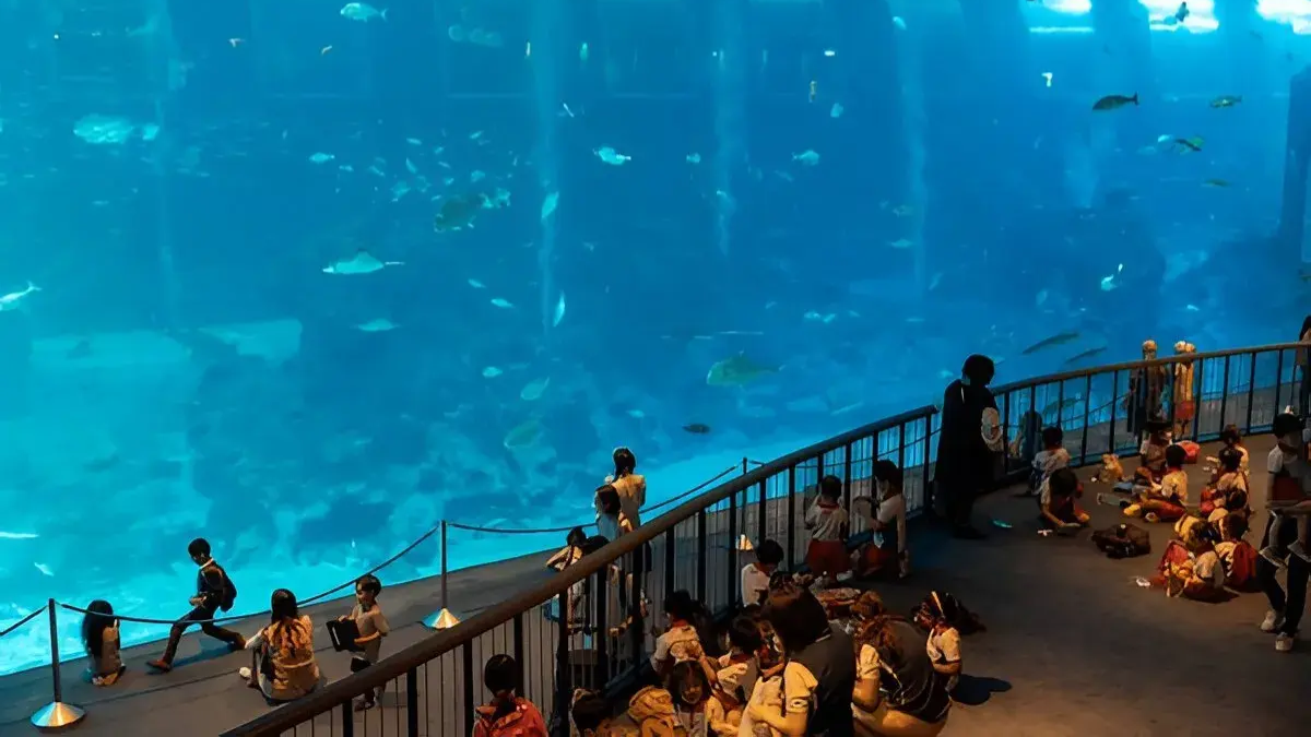 Thủy cung khổng lồ Singapore Oceanarium