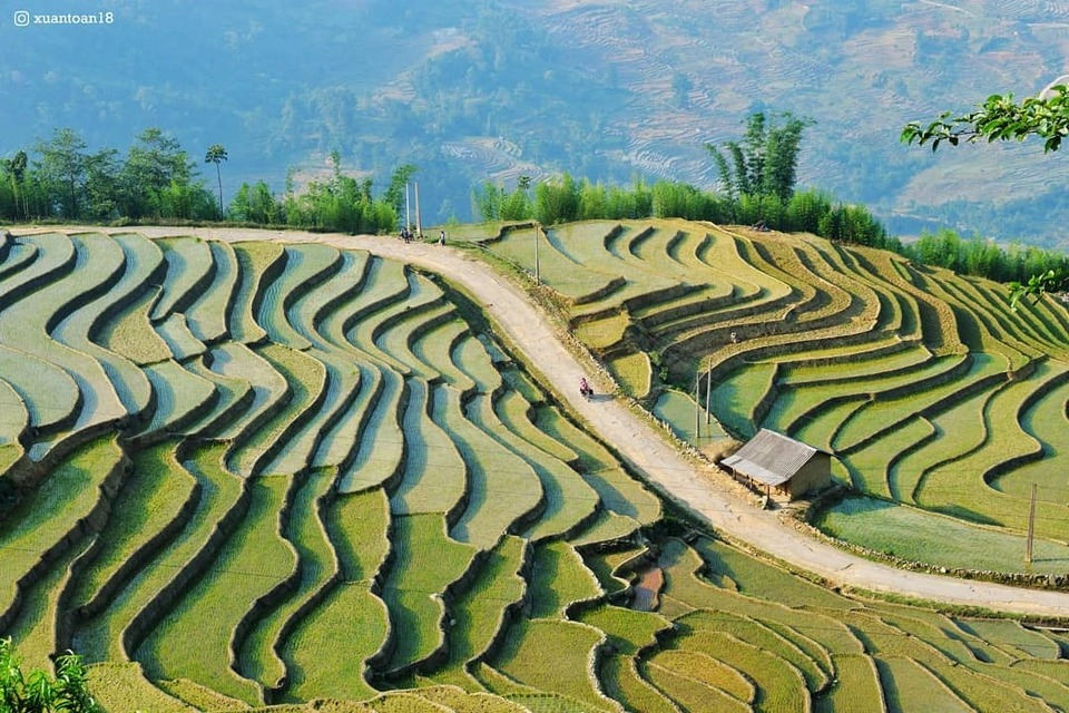 Thịt trâu gác bếp đặc sản Tây Bắc