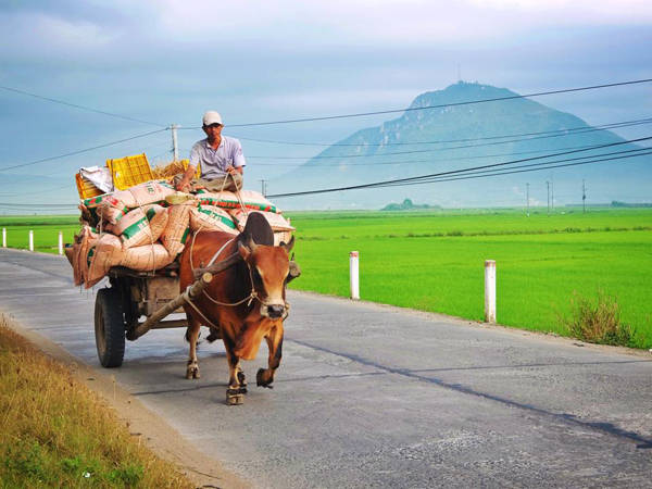 Khung cảnh bình yên Phú Yên trong du lịch Tết miền Trung