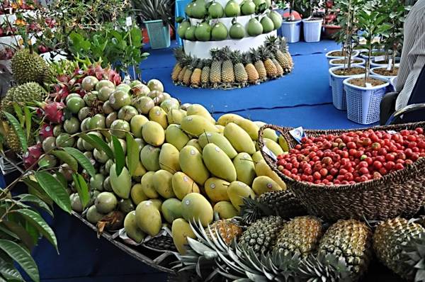 Du lịch tháng 7 tham gia Lễ hội Trái cây Nam Bộ Du lịch tháng 7 tham gia Lễ hội Trái cây Nam Bộ