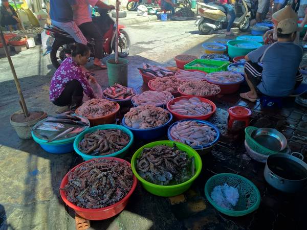 Du lịch Vũng Tàu khám phá chợ Xóm Lưới mua và ăn hải sản trong một nốt nhạc