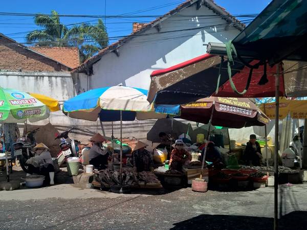 Những quầy hàng hải sản san sát nhau. Ảnh: Tiểu Duy