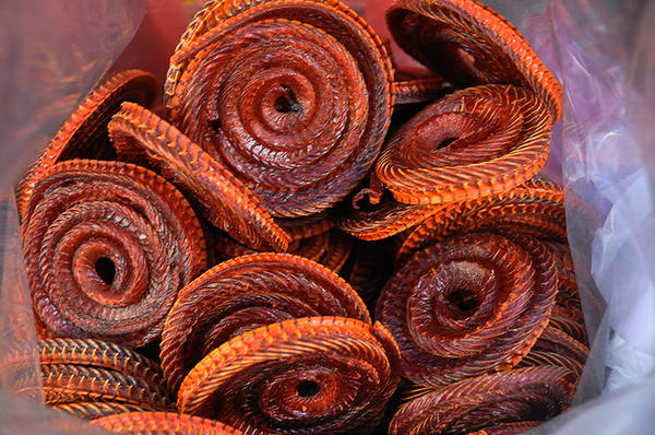 Khô rắn bông súng chiên giòn hoặc nướng than