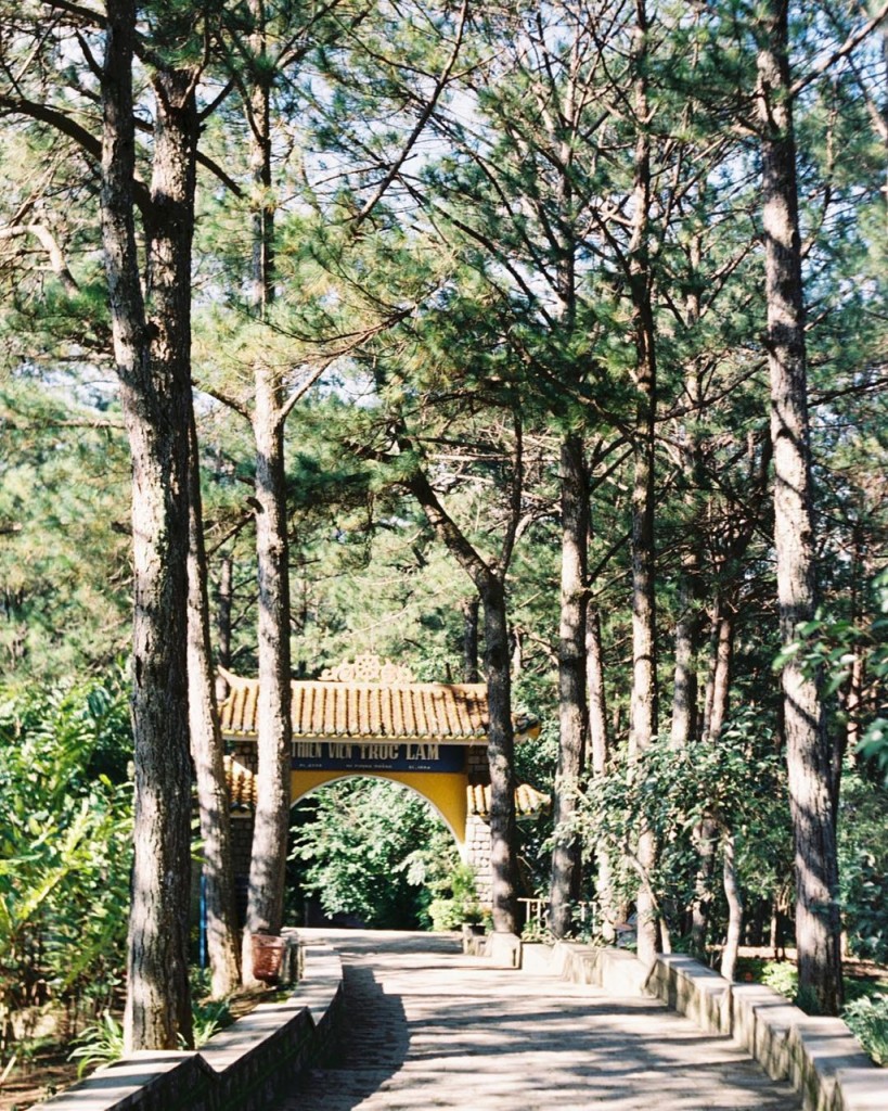 du-xuan-dau-nam-tai-nhung-ngoi-chua-dep-linh-thieng-o-da-lat-ivivu-7-819x1024-1 du-xuan-dau-nam-tai-nhung-ngoi-chua-dep-linh-thieng-o-da-lat-ivivu-7