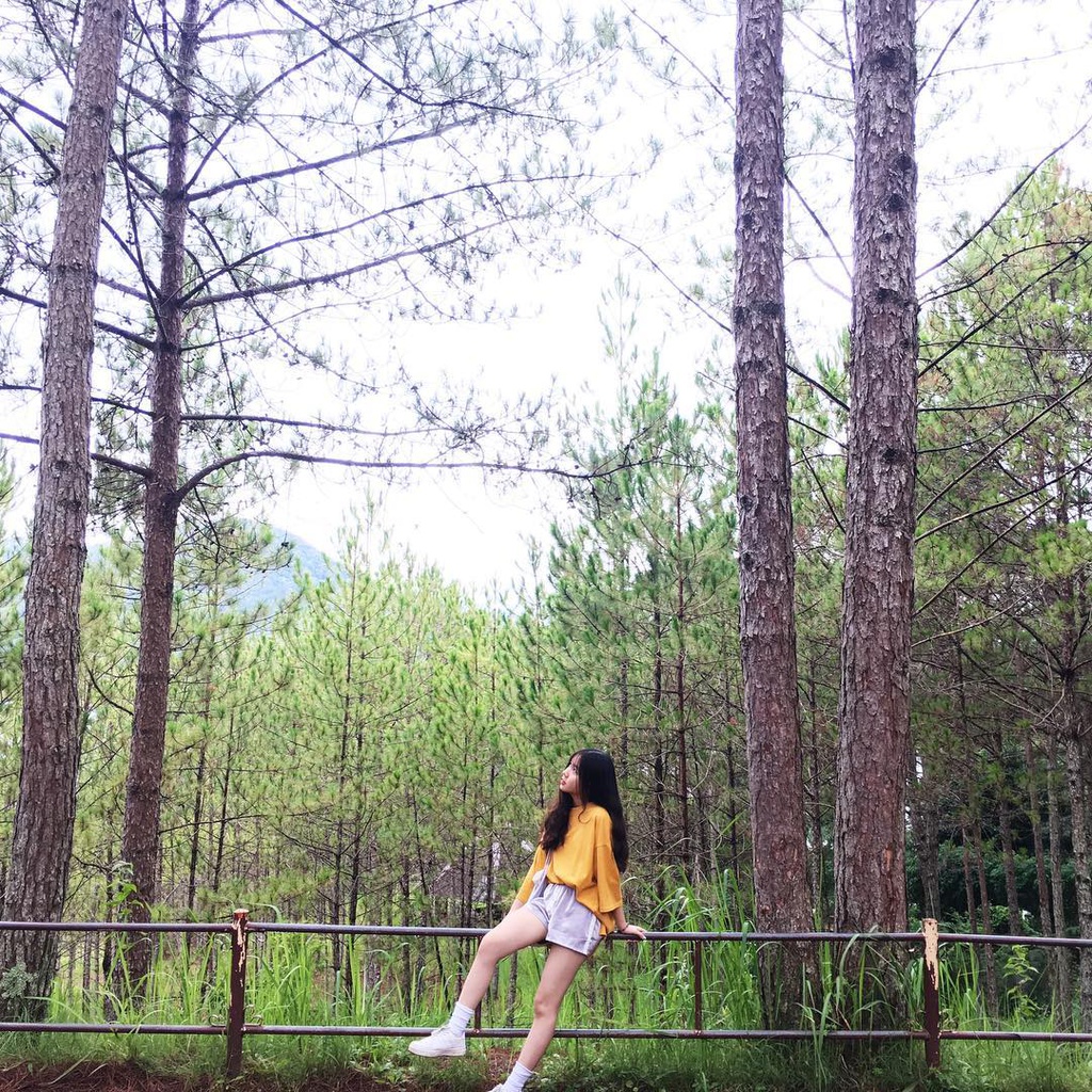 du-xuan-dau-nam-tai-nhung-ngoi-chua-dep-linh-thieng-o-da-lat-ivivu-8 du-xuan-dau-nam-tai-nhung-ngoi-chua-dep-linh-thieng-o-da-lat-ivivu-8