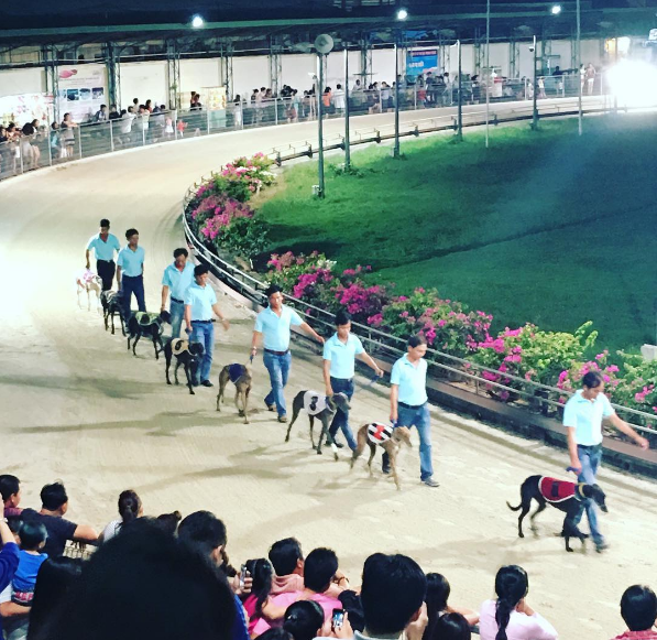 Đua chó Vũng Tàu tại sân vận động Lam Sơn