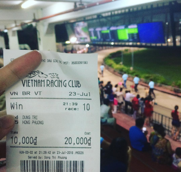 Giống chó Greyhound đua tại Vũng Tàu