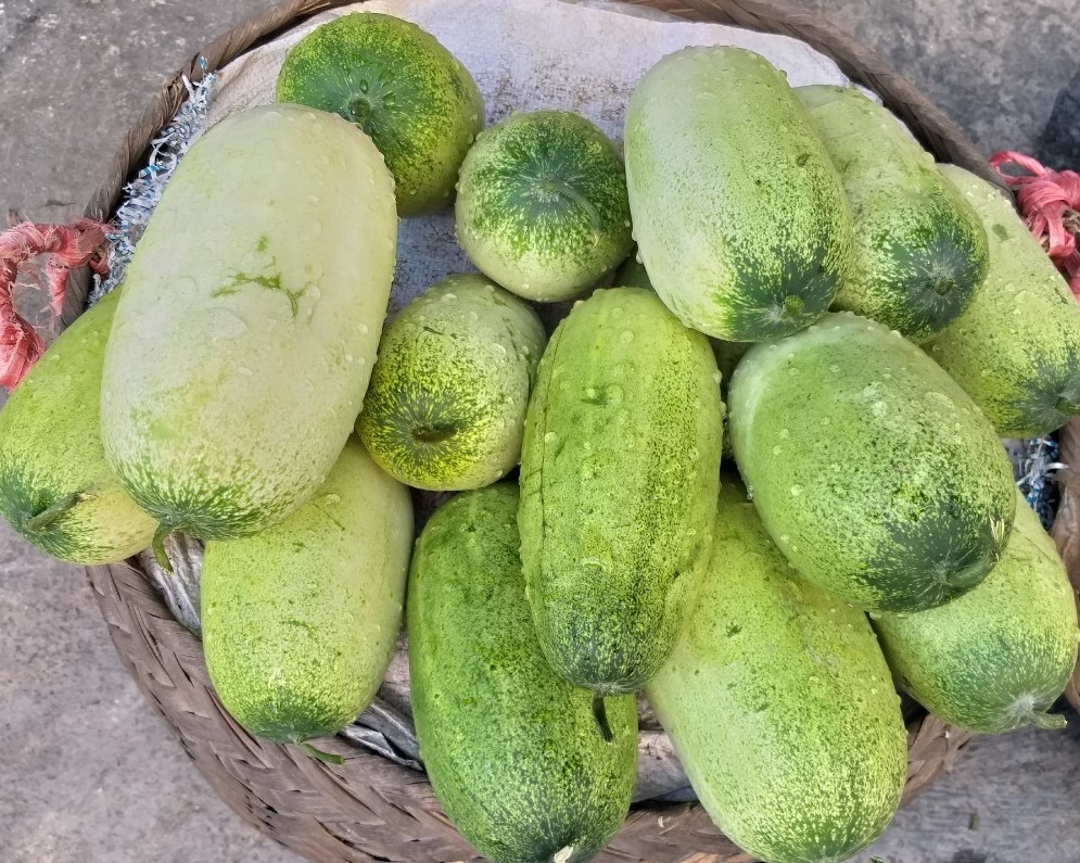 Dưa mèo đặc sản Lai Châu