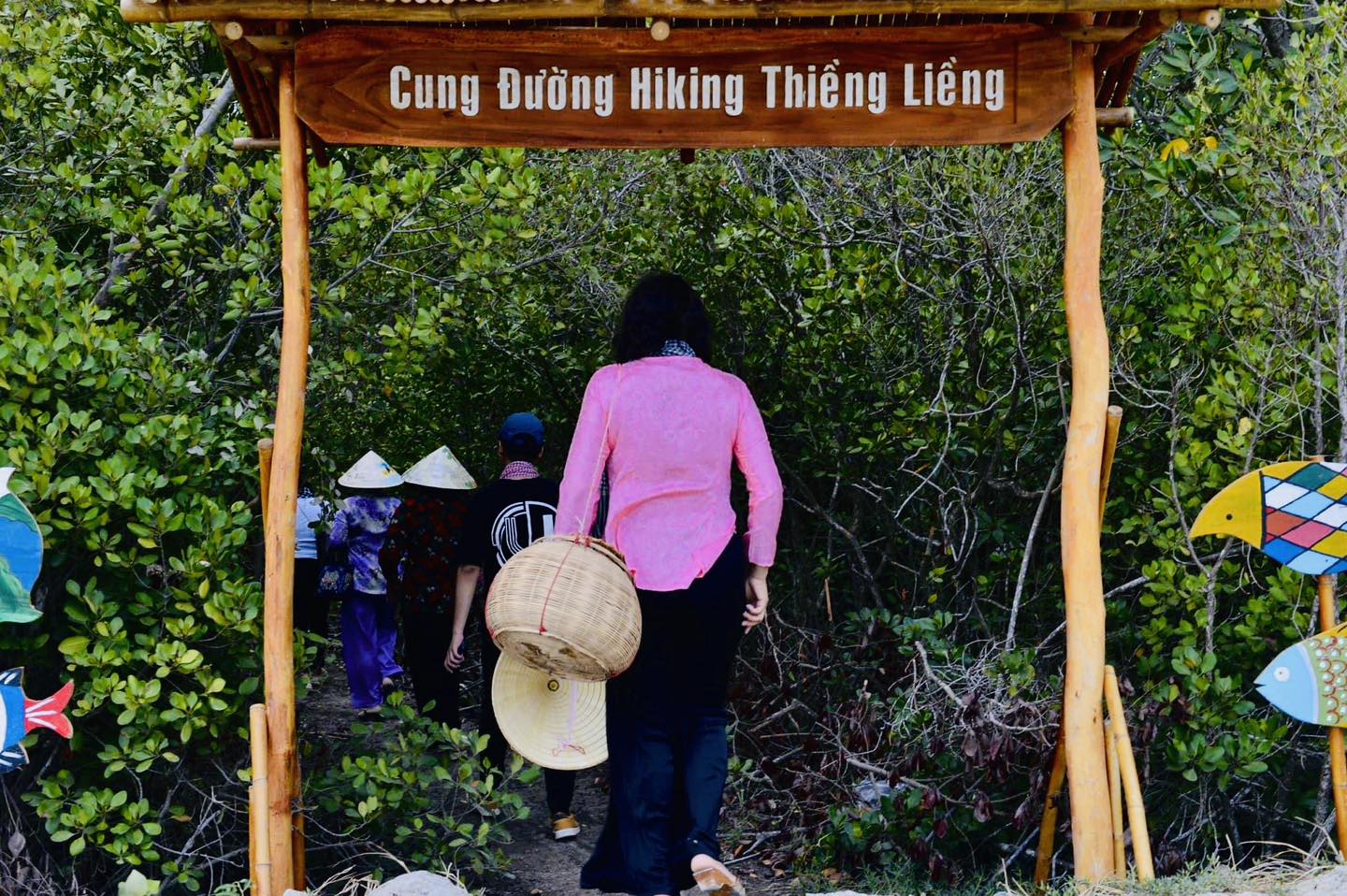 Cung đường hiking qua rừng ngập mặn Thiềng Liềng