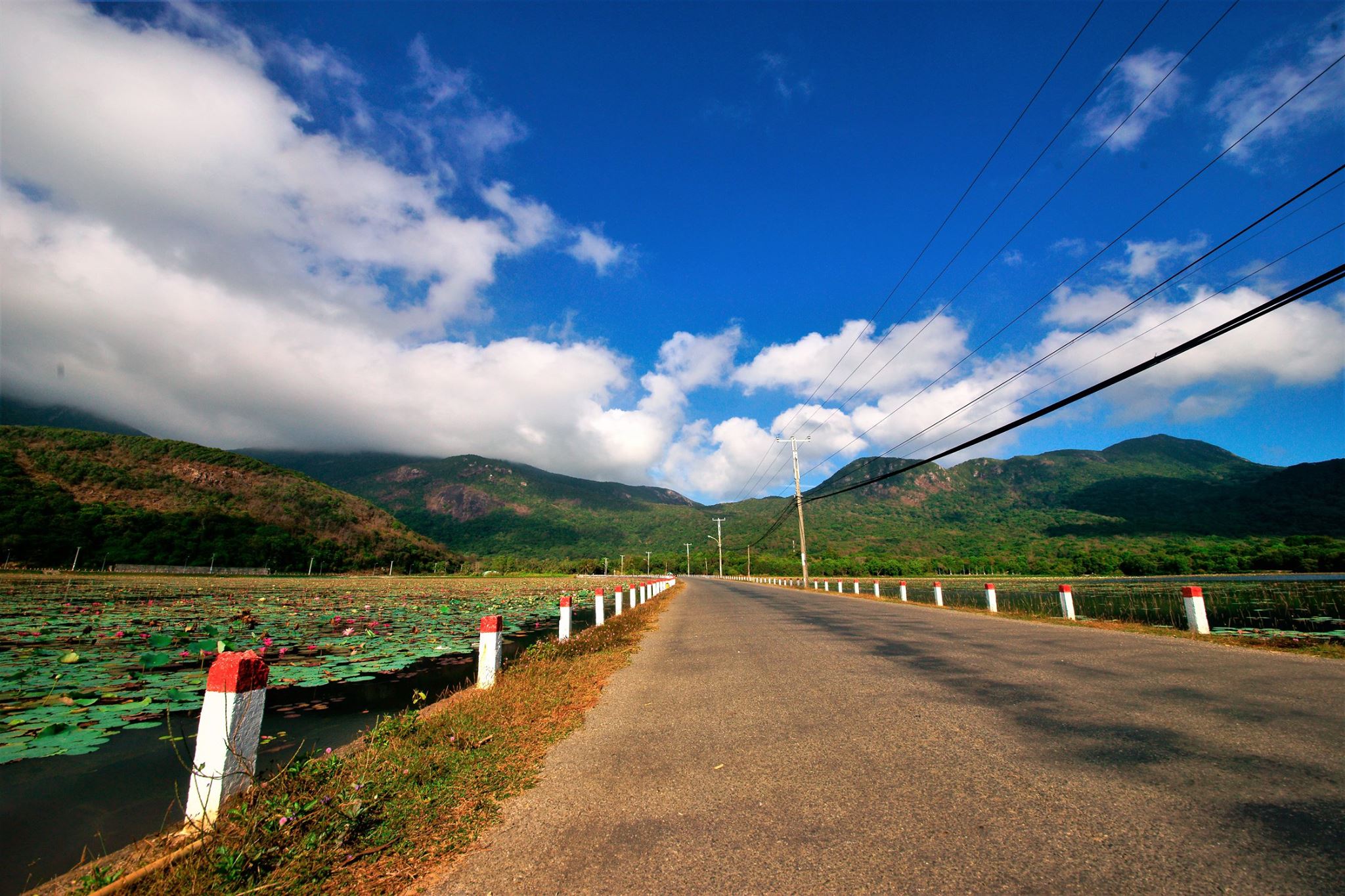 Đường Hồ An Hải – Côn Đảo. Ảnh: Phuong Nguyen.