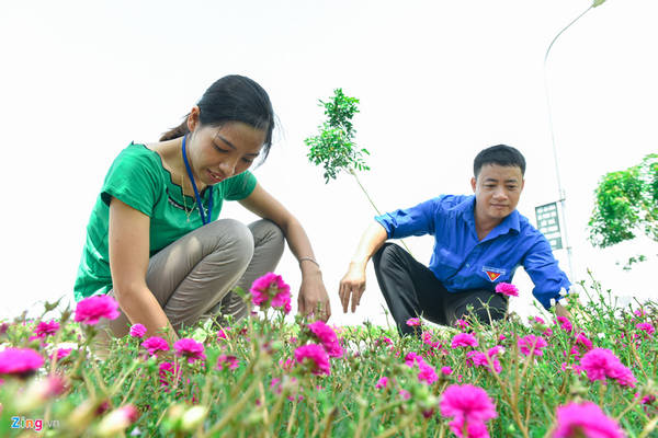 Chị Hồng Thanh, Bí thư chi đoàn trường Mầm non Khai Thái, cho biết cứ một tháng hai lần, Đoàn Thanh niên lại tổ chức nhổ cỏ, nhặt lá để cây hoa mười giờ phát triển tốt.