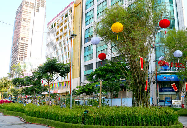 Ruộng lúa và nhà cao tầng trên đường hoa Tết Sài Gòn