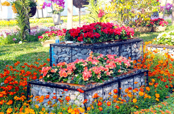 Đa dạng hoa tươi trên đường hoa Tết Sài Gòn