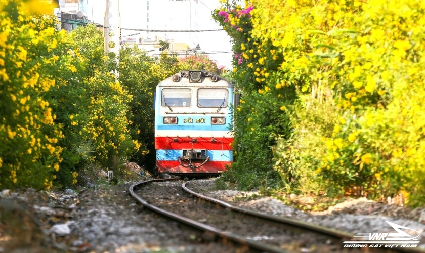 TP.HCM sẽ có 14 km “Đường tàu – Đường hoa” dọc tuyến đường sắt Bắc – Nam