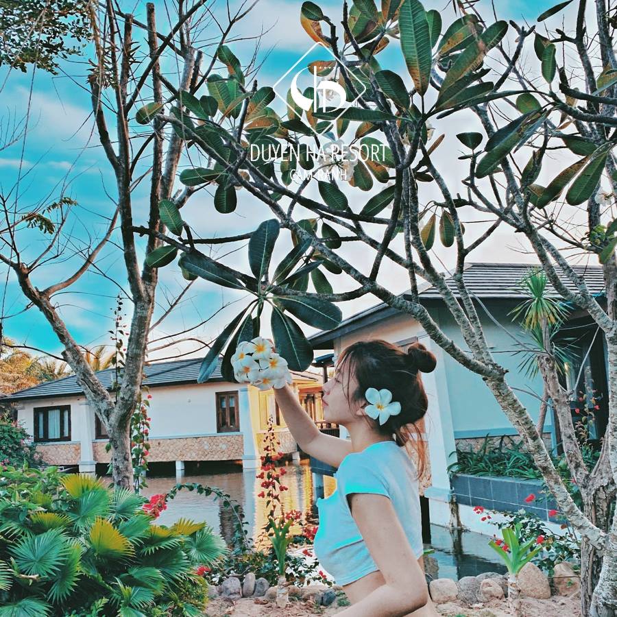 Cảnh quan thiên nhiên thơ mộng tại Duyên Hà